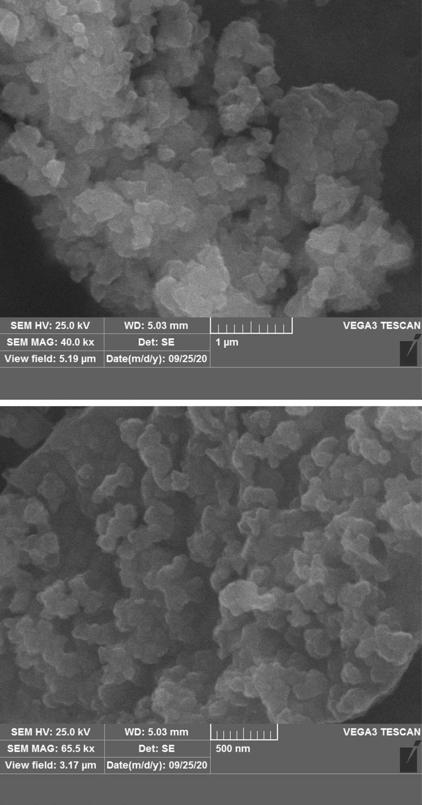 Zinc Oxide Nanoparticles(ZnO) SEM Images of Zinc Oxide Nano Powder scaled