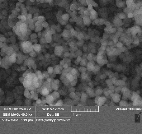 Graphene Nanoplatelets SEM